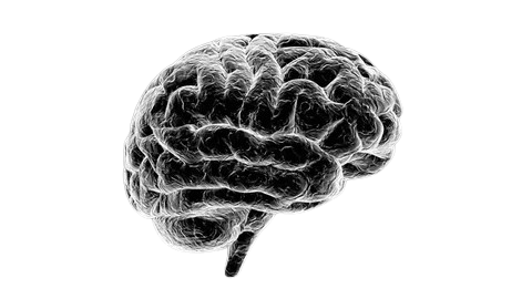 Brain mapping visualization (placeholder)