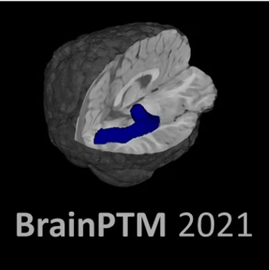 BrainPTM 2021 Grand Challenge